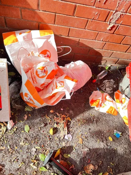 Restoran Ini Viral dan Laris Manis, Sampah Makanannya Jadi Masalah Lingkungan