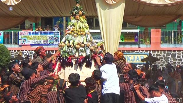 Ribuan warga Desa Kalilunjar, Kecamatan Banjarmangu, Banjarnegara mengikuti tradisi kirab oyot genggong, Selasa (29/8/2023).