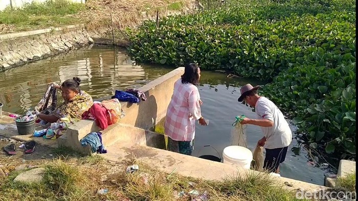 Warga Indramayu gunakan air kubangan untuk kebutuhan mencuci