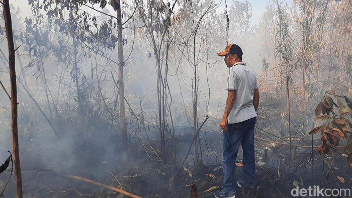 Warga melihat lokasi lahan gambut di Kampar yang terbakar (Raja Adil Siregar/detikSumut)