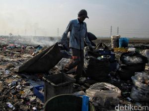 Ilmuwan Sebut Hal Penting Ini Lebih Bisa Atasi Krisis Iklim, Apa Itu?
