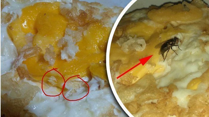 Apes! 5 Kisah Orang Beli Makanan Dapat Bonus Telur Lalat di Dalamnya
