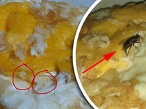 Apes! 5 Kisah Orang Beli Makanan Dapat Bonus Telur Lalat di Dalamnya
