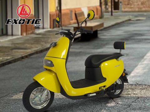 Exotic Sterrato
