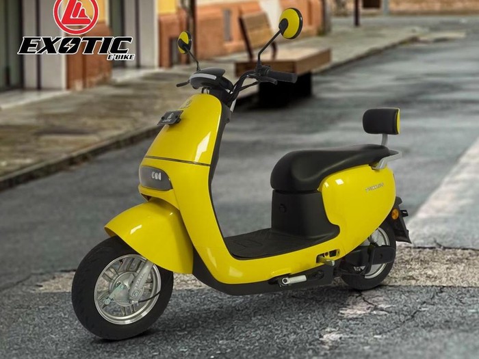 Exotic Sterrato