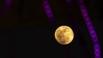 Super Blue Moon Hiasi Langit Makassar