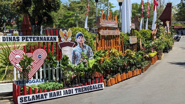 Karangan Bunga Hari Jadi Trenggalek Kini Berupa Bibit Tanaman