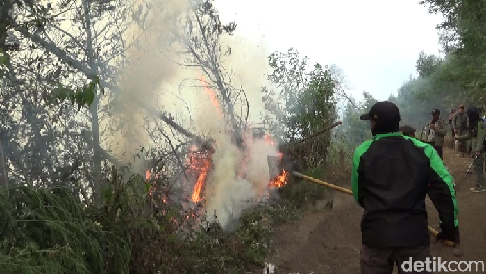 Kawasan hutan TNBTS terbakar