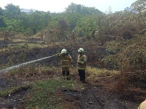 Alang-alang di Pademangan Terbakar gegara Puntung Rokok Dibuang Sembarangan