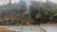 Gunung Ranggagading Kebakaran, Babi Bikin Warga Tak Berani Mendekat