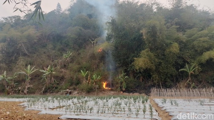 Kebakaran Gunung Ranga Gading Sukabumi