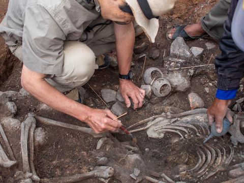 Para arkeolog dari Proyek Arkeologi Pacopampa bekerja di situs makam berusia 3.000 tahun yang mereka yakini mungkin menghormati seorang pemimpin agama elit di negara Andean sekitar tiga milenium lalu, di Pacopampa, Peru, 26 Agustus 2023. (Ministry of Culture of Peru/Handout via REUTERS)