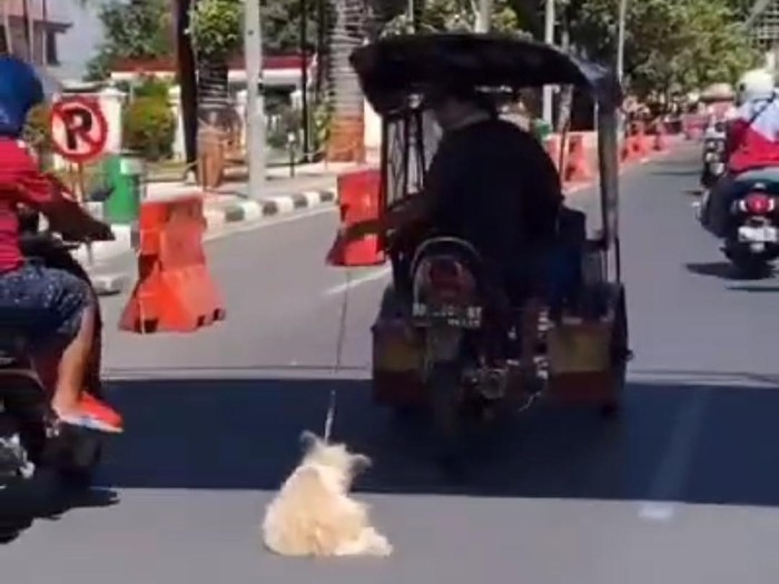 Pengemudi bentor di Makassar menyeret anjing di jalan raya.