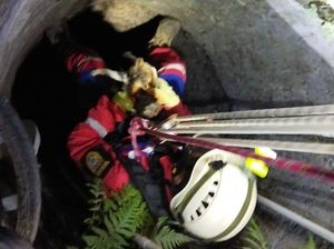 Damkar Klaten Tengah Malam Evakuasi Kucing di Sumur 15 Meter
