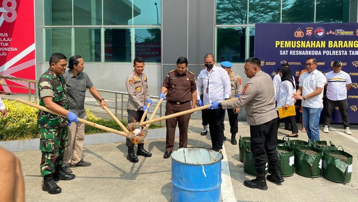 Polres Metro Tangerang memusnahkan 8 pohon ganja yang disita dalam penangkapan seorang fotografer inisial RA.