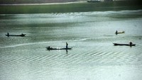 Volume air Waduk Cacaban itu menyusut drastis dari normal 50 juta meter kubik menjadi 7,3 juta meter kubik.