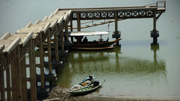 Potret Waduk Cacaban Tegal yang Airnya Mulai Menyusut Sejumlah perahu nelayan bersandar di pinggir Waduk Cacaban yang airnya mulai menyusut di Desa Karanganyar, Kabupaten Tegal, Jawa Tengah, Selasa (29/8/2023). Volume air Waduk Cacaban untuk mengairi sekitar 7.000 hektar persawahan itu sejak lima bulan terakhir menyusut drastis dari normal 50 juta meter kubik menjadi 7,3 juta meter kubik sehingga dapat mengakibatkan berkurangnya pasokan air untuk mengairi areal persawahan di wilayah Pantura. ANTARA FOTO/Oky Lukmansyah/tom.