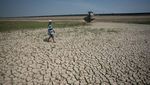 Potret Waduk Mengering di Sragen, Ribuan Hektare Sawah Terancam