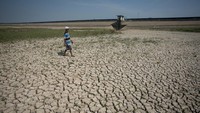 Kondisi waduk tersebut mulai mengering akibat musim kemarau.  