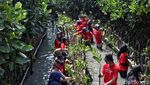 Seribu Mangrove, Hijaukan Hutan Bakau Muara Tawar Segarajaya