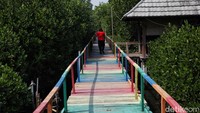 Kegiatan ini dalam rangka menjaga kelestarian lingkungan pesisir pantai.  
