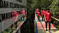 Tanaman mangrove diketahui memiliki kemampuan alami untuk meredam dampak bencana alam, terutama badai dan tsunami.  