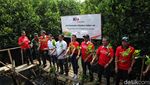 Seribu Mangrove, Hijaukan Hutan Bakau Muara Tawar Segarajaya