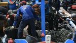 Suka Makan Kerang Hijau? Begini Prosesnya Ambil dari Laut