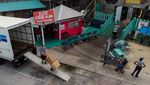 Warga Florida Bersiap Hadapi Badai Idalia