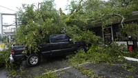 Badai juga mengakibatkan pohon tumbang dan menimpa mobil di Mayo, Florida, Amerika Serikat.  