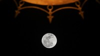 Fenomena super blue moon terlihat di langit Lombok, Mataram, NTB, Kamis (31/8/2023).