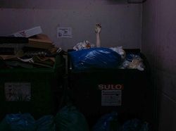 Deretan Foto Penampakan yang Bikin Takut dan Jantungan