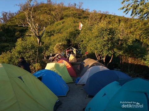 Camp tujuh camp ground cukup luas bisa memuat puluhan tenda