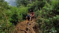 Jalur setelah pos empat terdapat beberapa titik yang dipasang tali atau webing