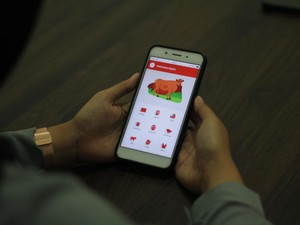 Aplikasi Terik, Solusi Usaha Peternakan di Era Digital