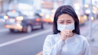Polusi Udara Tak Hanya Ganggu Pernapasan, Ginjal Juga Bisa Terdampak