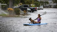 Ada juga yang bermain paddling sambil mengajak hewan peliharaannya. Chris Urso/Tampa Bay Times via AP.  