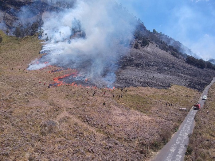 Kebakaran di Savana Bromo Belum Padam