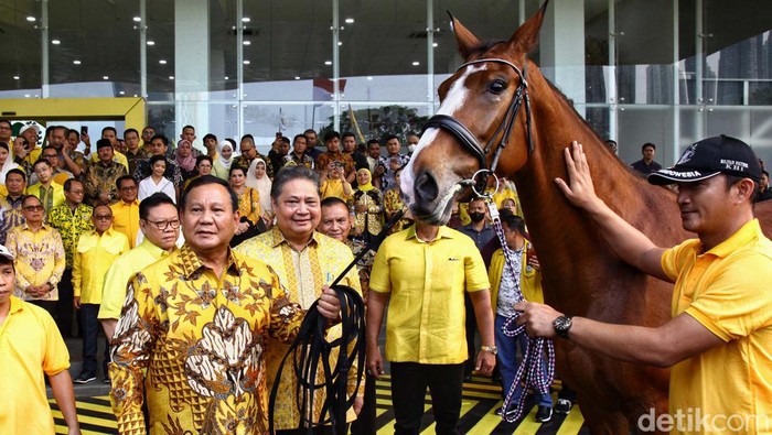Capres Koalisi Indonesia Maju, Prabowo Subianto mengunjungi Kantor DPP Partai Golkar, di jl anggrek Neli, Jakarta, Kamis (31/8/2023). Ia mendapat hadiah seekor kuda warna coklat.