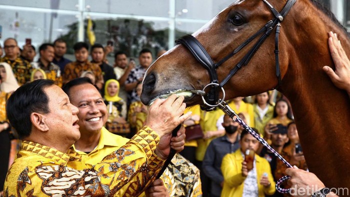 Capres Koalisi Indonesia Maju, Prabowo Subianto mengunjungi Kantor DPP Partai Golkar, di jl anggrek Neli, Jakarta, Kamis (31/8/2023). Ia mendapat hadiah seekor kuda warna coklat.