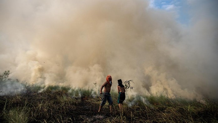 Sejumlah bocah berusaha memadamkan kebakaran lahan di Desa Ibul I, Kecamatan Pemulutan, Kabupaten Ogan Ilir (OI), Sumatera Selatan, Rabu (30/8/2023). Petugas gabungan dari Manggala Agni Daops Banyuasin, Daops Musi Banyuasin (Muba), Daops Lahat dan BPBD Kabupaten Ogan Ilir (OI) berhasil memadamkan kebakaran lahan di daerah tersebut. ANTARA FOTO/Nova Wahyudi/foc.