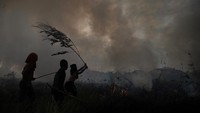 Sejumlah bocah berusaha memadamkan kebakaran lahan di Desa Ibul I, Kecamatan Pemulutan, Kabupaten Ogan Ilir (OI), Sumatera Selatan, Rabu (30/8/2023). 