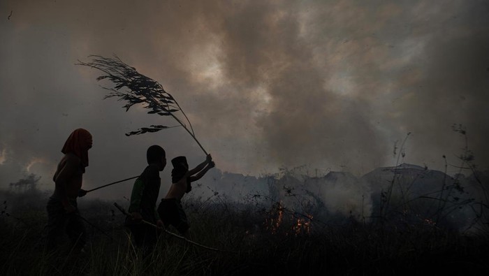 Sejumlah bocah berusaha memadamkan kebakaran lahan di Desa Ibul I, Kecamatan Pemulutan, Kabupaten Ogan Ilir (OI), Sumatera Selatan, Rabu (30/8/2023). Petugas gabungan dari Manggala Agni Daops Banyuasin, Daops Musi Banyuasin (Muba), Daops Lahat dan BPBD Kabupaten Ogan Ilir (OI) berhasil memadamkan kebakaran lahan di daerah tersebut. ANTARA FOTO/Nova Wahyudi/foc.