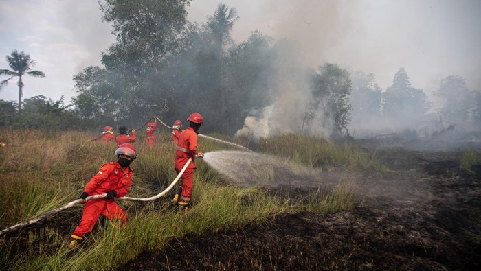 Pemadaman kebakaran lahan di Ogan Ilir Sejumlah bocah berusaha memadamkan kebakaran lahan di Desa Ibul I, Kecamatan Pemulutan, Kabupaten Ogan Ilir (OI), Sumatera Selatan, Rabu (30/8/2023). Petugas gabungan dari Manggala Agni Daops Banyuasin, Daops Musi Banyuasin (Muba), Daops Lahat dan BPBD Kabupaten Ogan Ilir (OI) berhasil memadamkan kebakaran lahan di daerah tersebut. ANTARA FOTO/Nova Wahyudi/foc.