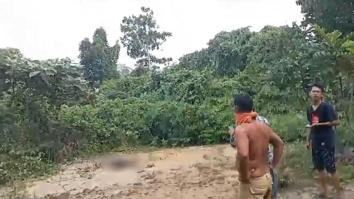 Penemuan mayat wanita hangus tanpa busana di Merangin.