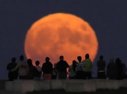 Potret Fenomena Super Blue Moon di Langit Berbagai Negara