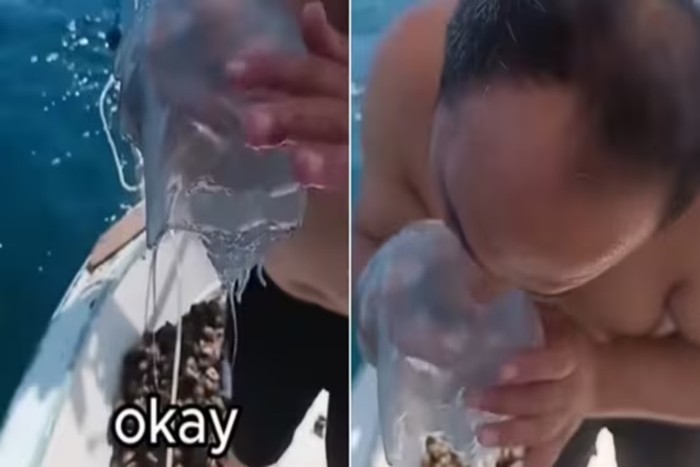 Pria Ini Nekat Makan Ubur-ubur Hidup, Berakhir Kesakitan Sendiri