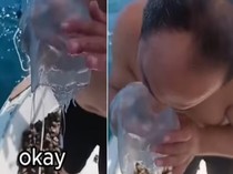 Pria Ini Nekat Makan Ubur-ubur Hidup, Berakhir Kesakitan Sendiri