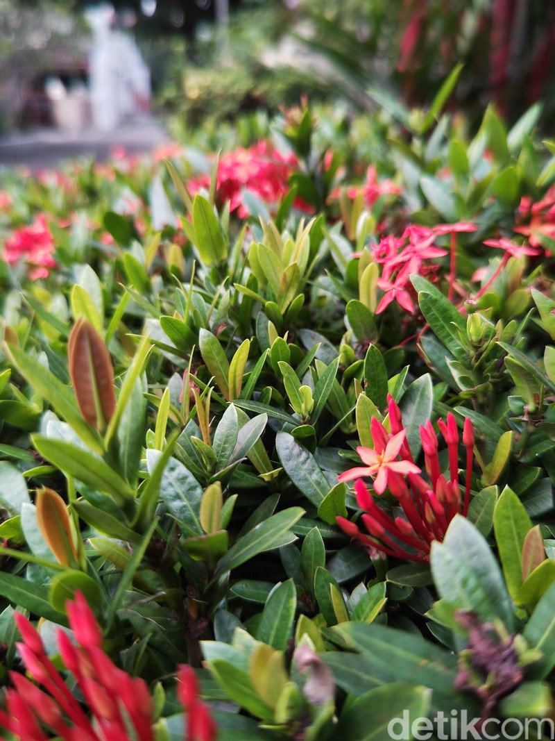 Review Sharp Aquos R7S