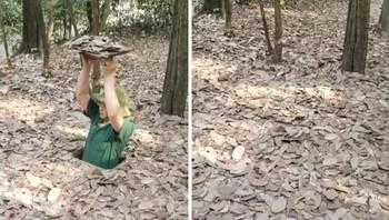 Ruangan tersembunyi di bawah tanah. Foto: Bored Panda